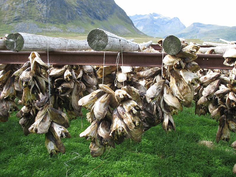 Noordkaap 2006 deel 2 166.jpg